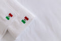 TOALLA  DE MANO MUNDIAL